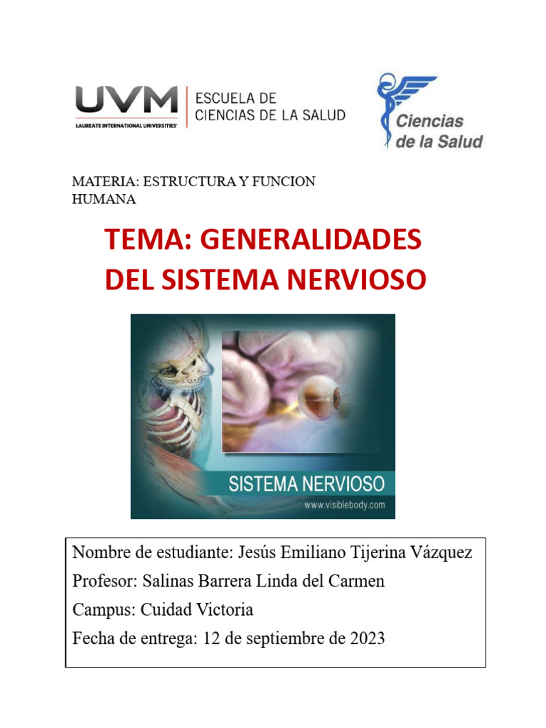 Resumen Generalidades Del Sistema Nervioso Pdf Pdf Sistema Nervioso
