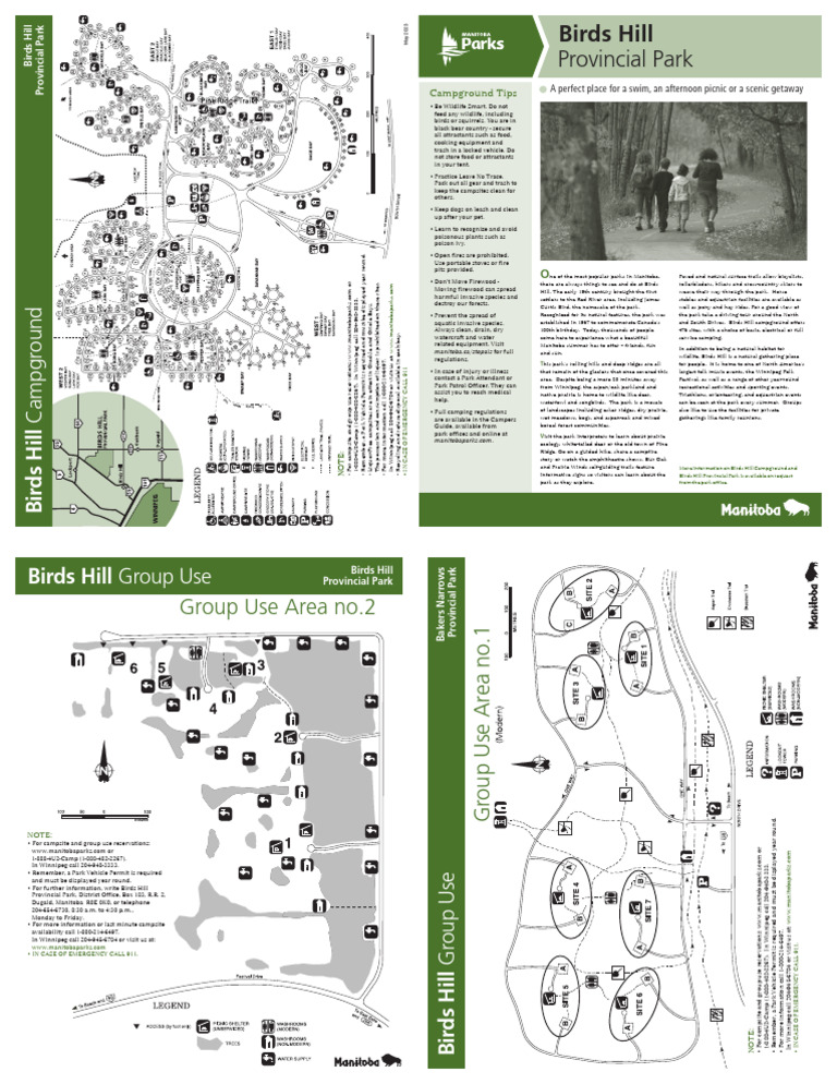 birds-hill-activities-camp-pdf-camping