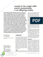 Collie Eye Anomaly in The Rough Collie in Sweden - Genetic Transmission and Influence On Offspring Vitality