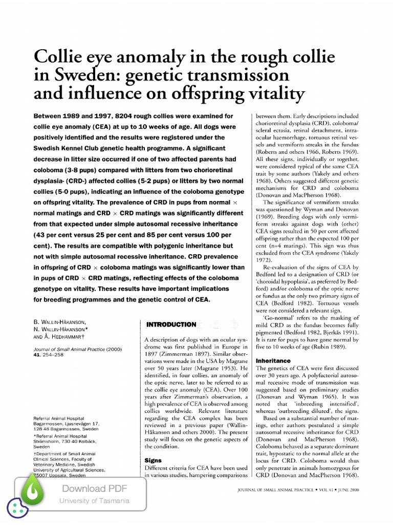 Collie Eye Anomaly In The Rough Collie In Sweden Genetic Transmission