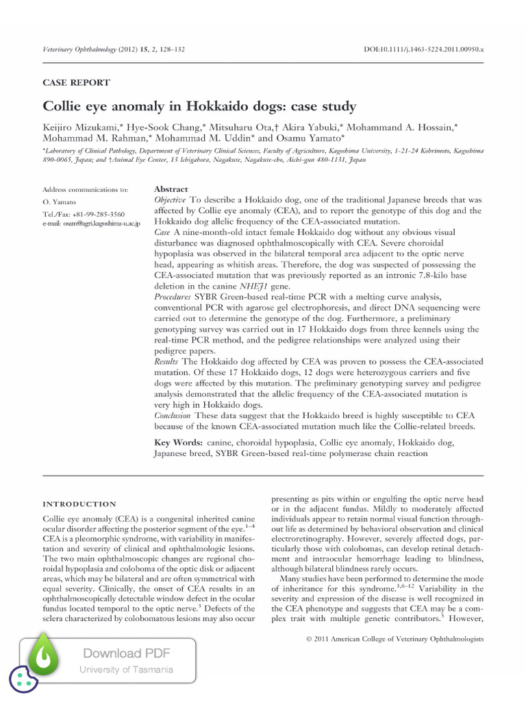 Collie Eye Anomaly In Hokkaido Dogs Case Study Pdf Monopoly