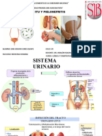 Itu y Pielonefritis