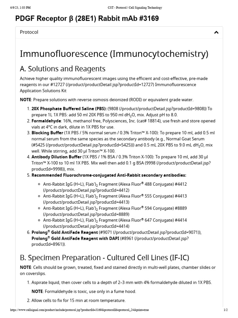 CST - Protocol - Cell Signaling Technology | PDF | Immunofluorescence ...