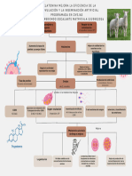 Mapa Conceptual 1 JAE