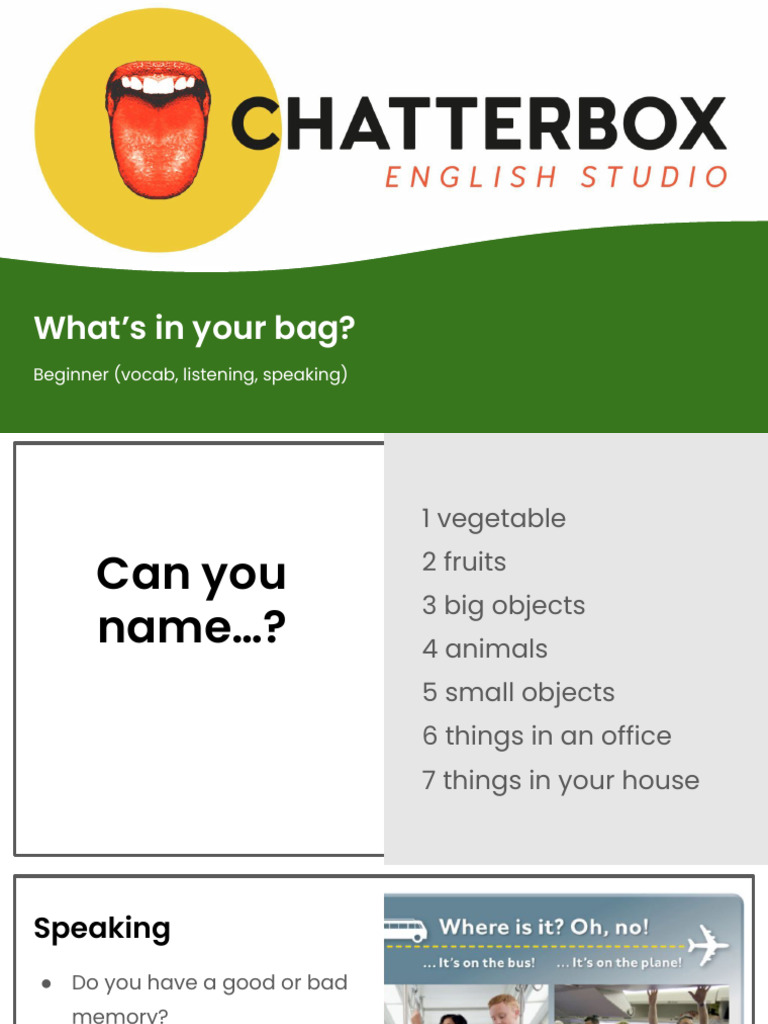 What's in Your Bag Nouns PDF