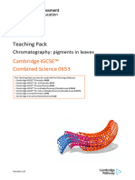 Teaching Pack, Chromatography Pigments in Leaves, Cambridge IGCSE, Combined Science 0653