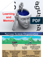 Learning and Memory