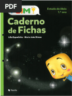 Ficha de Estudo do Meio 1º Ano | PDF | Carreira e Crescimento | Autoajuda