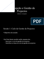 Conc Gestão Projectos - 25022020