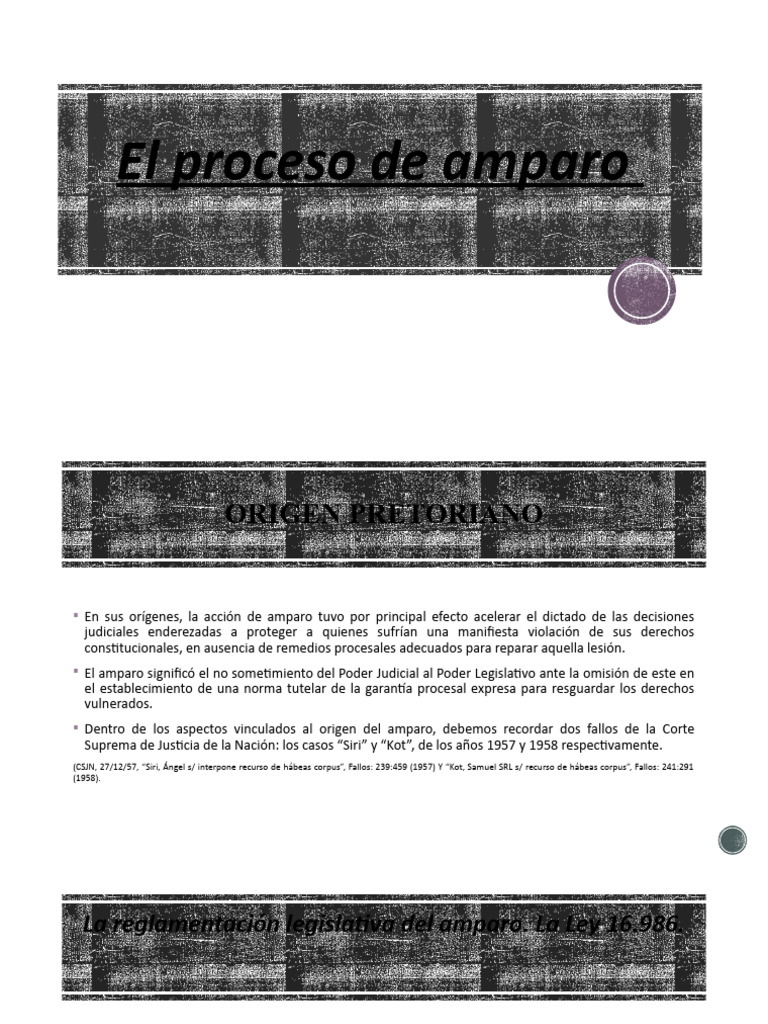 El Proceso de Amparo | PDF | Caso de ley | Ley procesal