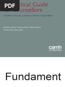 Fundamentals To Addiction
