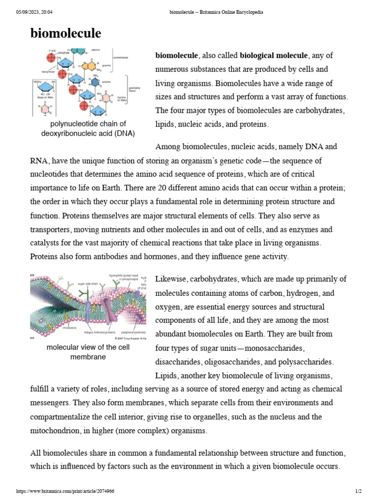 BIOMOLECULE | PDF | Biomolecules | Cell (Biology)
