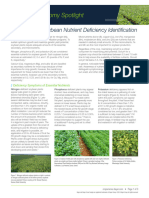 6002 - S1 - BA - Late Season Soybean Nutrient Deficiency Identification