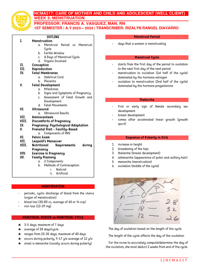 Week 3 - Menstruation | PDF | Menstrual Cycle | Luteinizing Hormone