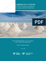 Latin America's Lithium - Critical Minerals and The Global Energy Transition