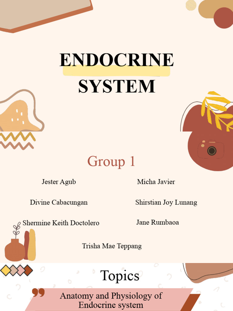 The Endocrine Group