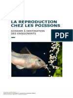 La Reproduction Chez Les Poissons