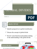 Module 12 Global Divides