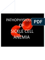 Pa Tho Physiology of Sickle Cell Anemia