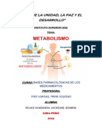 Investigación Metabolismo