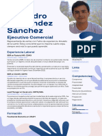Horeb Alejandro Hernández Sánchez - Ejecutivo Comercial-2-1