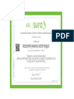 Certificado Modulo Introductorio - Diagnostico, Diseno y Desarrollo de Planes de SST (Guia Mipymes)