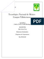 Programa de Capacitacion