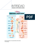 Tarea