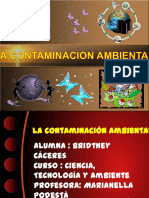 contaminacionambientalbsca-131208151913-phpapp02