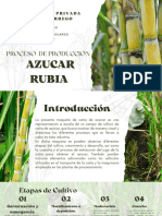 Presentación Proyecto Agronomía y Agricultura Elegante y Versátil Tonos Verde Tierra y Beige