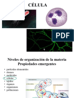 Clase 2 - Célula Membrana y Transporte - TM-Comisión 1-2C-2023