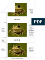 CC163 Vertebrates Types 02 ESP