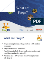 What Are Frogs Slides
