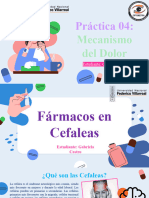 Practica 4 Mecanismo Del Dolor