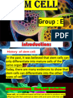 Stem Cell 1
