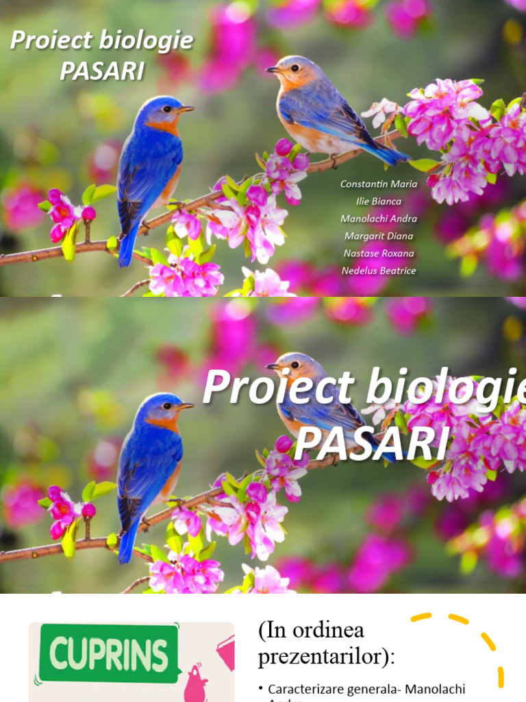 Pasari | PDF