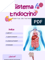 Presentación SISTEMA ENDOCRINO... Compressed