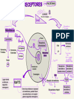 Domínios de Membrana Plasmática