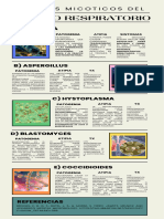 Infografía Agentes Micoticos Del Tracto Respiratorio.