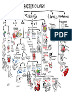 Bacteriology