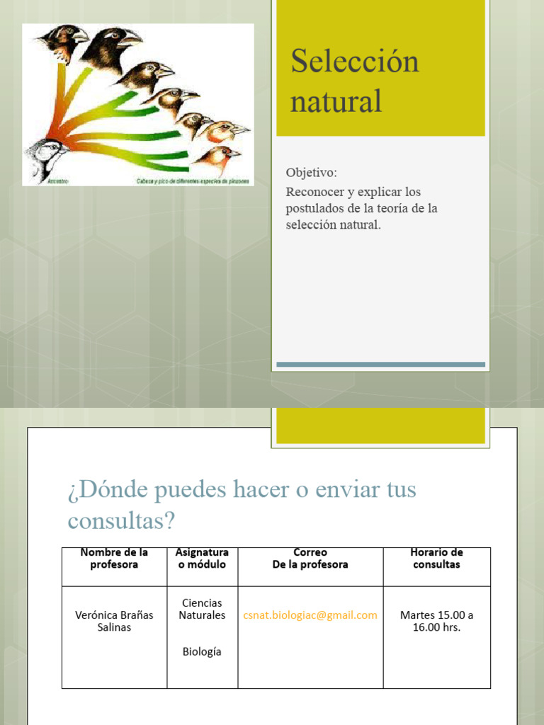 Teoría de Selección Natural de Darwin | PDF | Evolución | Seleccion natural