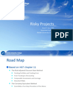 Risky Projects