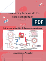 Cardiovascular Disease