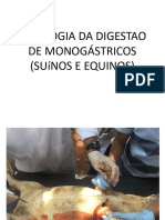 Fisiologia Da Digestão de Suinos e Equinos 24 09 18