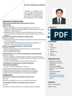 Effio Curriculum Vitae Laboral