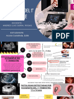 Ppt-Semana 6 - Bienestar Fetal PDF