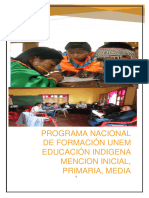 PNF Educacion Indigena
