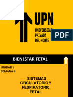 Clase Sem 4 PPT Circulacion y Respiracion Fetal