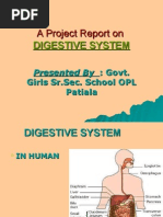 Download Presentation 2 Digestive System by api-3731257 SN6730291 doc pdf
