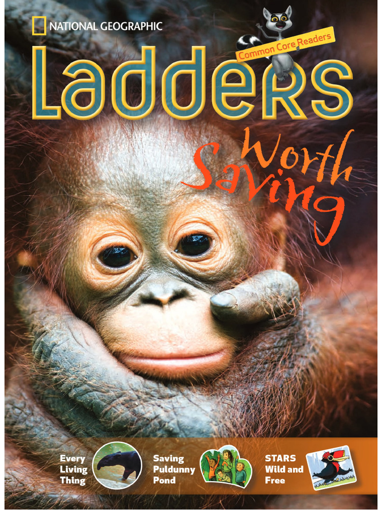 Ingles Basico 3 Lectura | PDF